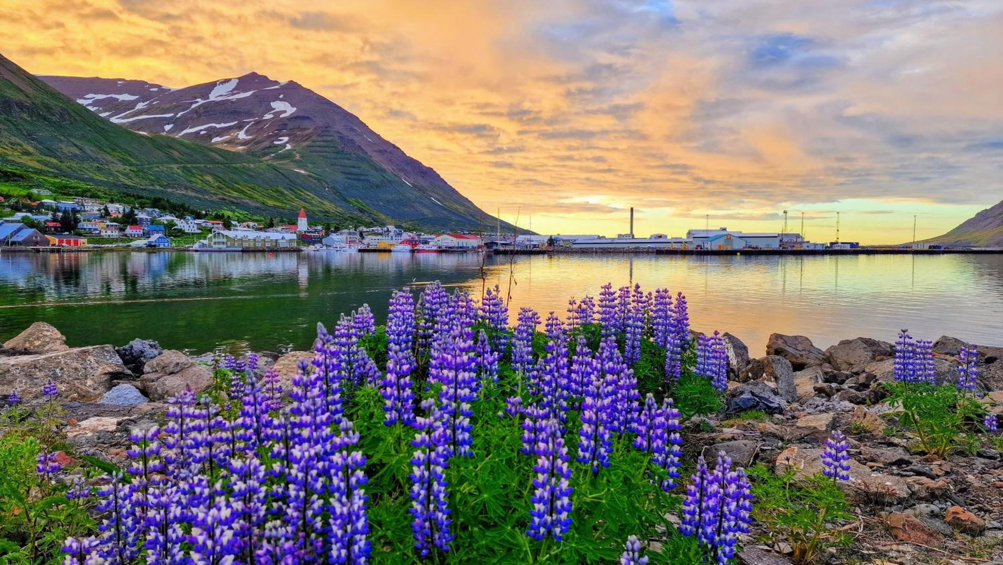 Landakot The Perfect Getaway By Staynorth Siglufjordur Exteriör bild